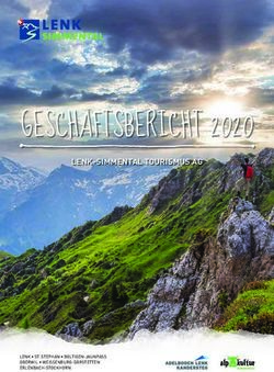 GESCH&Auml;FTSBERICHT 2020 - LENK-SIMMENTAL TOURISMUS AG