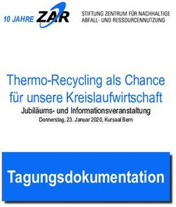 Tagungsdokumentation - Thermo-Recycling als Chance für unsere Kreislaufwirtschaft - Die Stiftung : ZAR