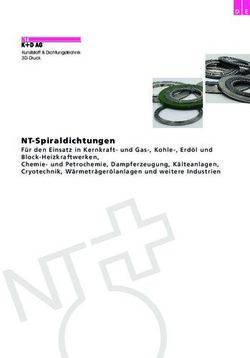 NT-Spirald ichtungen - NT K+D AG