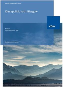 Klimapolitik nach Glasgow - Position Stand: November 2021 - vbw