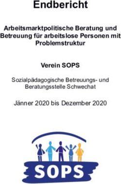Endbericht Arbeitsmarktpolitische Beratung und Betreuung f&uuml;r arbeitslose Personen mit Problemstruktur Verein SOPS