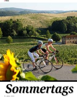Sommertags traum Mit dem Rennrad durch das gr&uuml;ne Herz Italiens - Reise