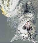 Den Karneval vers&uuml;&szlig;t - Gemeinde Aldenhoven