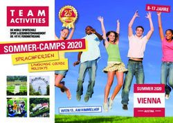 SOMMER-CAMPS 2020 VIENNA - SUMMER 2020 - TEAM ACTIVITIES