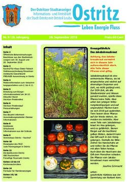 Der Ostritzer Stadtanzeiger Informations- und Amtsblatt der Stadt Ostritz mit Ortsteil Leuba