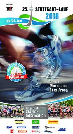 Mercedes- Benz Arena Zieleinlauf: Starter-Information - Stuttgart-Lauf