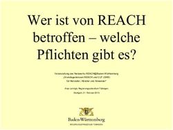 Wer ist von REACH betroffen - welche Pflichten gibt es? - 13-02-21_REACH_STUTTGART ...