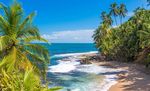 PURA VIDA IN COSTA RICA - COSTA RICA dschungel & strand - Dreamtime Travel