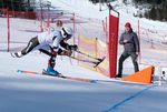 Offene Bezirks- und Bayerische Meisterschaften Ski Alpin am Großen Arber in inklusion mit dem Rotary Club Bayerwald-Zwiesel - BVS Bayern