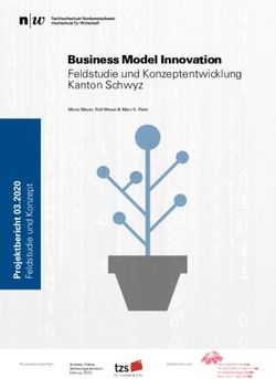 Business Model Innovation Feldstudie und Konzeptentwicklung Kanton Schwyz - Digitale Transformation