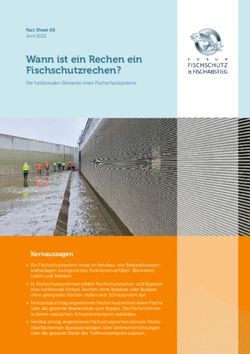 Wann ist ein Rechen ein Fischschutzrechen? - Ecologic Institute