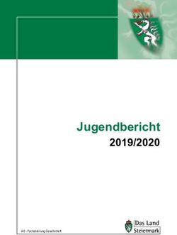 Jugendbericht 2019/2020 - A 6 - Fachabteilung Gesellschaft - Jugendreferat Steiermark