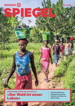 SPIEGEL Nr. 2/18 - "Der Wald ist unser Leben" GEGEN BRANDRODUNG UND KAHLSCHLAG