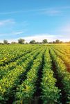 LANDWIRT DER WICHTIGSTE BERUF AUF DER ERDE - ACKERBAU & GEM&Uuml;SEBAU 2022 - agrar.basf.at