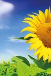 LANDWIRT DER WICHTIGSTE BERUF AUF DER ERDE - ACKERBAU & GEM&Uuml;SEBAU 2022 - agrar.basf.at