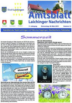 Sommerzeit 11. Jahrgang - Stadt Laichingen