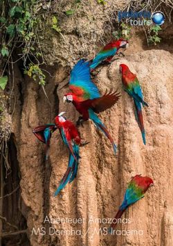 Abenteuer Amazonas MS Dorinha / MS Iracema