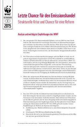 Letzte Chance für den Emissionshandel - Strukturelle Krise und Chance für eine Reform Analyse und wichtigste Empfehlungen des WWF - WWF Deutschland