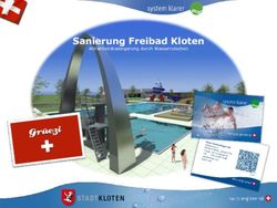 Sanierung Freibad Kloten - Beck Schwimmbadbau AG