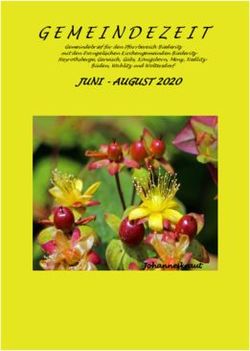 JUNI - AUGUST 2020 - Johanneskraut - August 2020 mit Titelbild.pub