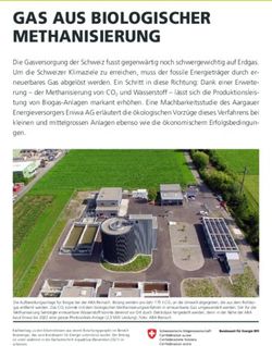GAS AUS BIOLOGISCHER METHANISIERUNG - admin.ch