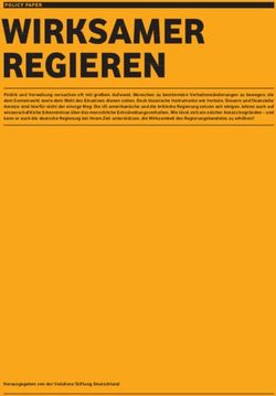 Wirksamer regieren - Vodafone Stiftung