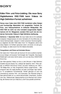 Edler Film- und Foto-Liebling: Die neue Sony Digitalkamera DSC-T500 kann Videos im High Definition-Format aufnehmen