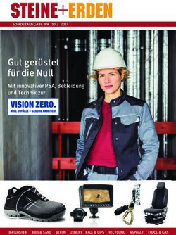 Gut ger&uuml;stet f&uuml;r die Null - Mit innovativer PSA, Bekleidung und Technik zur SONDERAUSGABE NR. 10 | 2017 - Steine + Erden