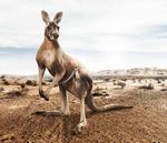 GL&Uuml;CKAUF ZUKUNFT! Alle Veranstaltungen rund um das Ende des Steinkohlenbergbaus 2018 - Gl&uuml;ckauf Zukunft