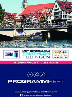 PROGRAMMHEFT TRIATHLON T&Uuml;BINGEN - MEY GENERALBAU - Mey Generalbau Triathlon