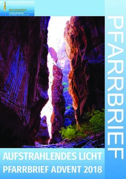 AUFSTRAHLENDES LICHT PFARRBRIEF ADVENT 2018