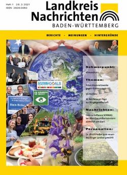 BERICHTE MEINUNGEN HINTERGRÜNDE - BERICHTE MEINUNGEN ...