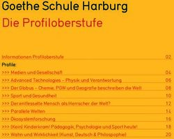 Goethe Schule Harburg Die Profiloberstufe
