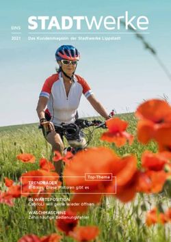 STADT werke EINS - Stadtwerke Lippstadt