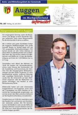 B&uuml;rgermeisterwahl in Auggen - B&uuml;rgermeisterwahl in Auggen