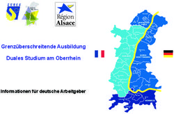 Grenz&uuml;berschreitende Ausbildung Duales Studium am Oberrhein