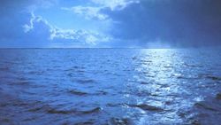 Immunsuppression - allgegenwärtig und zunehmend - Wissenswertes für den Hausarzt Matthias Hoffmann Infekttag 29.02.2015 - infekt.ch