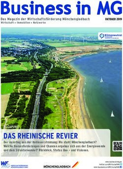 DAS RHEINISCHE REVIER - WFMG