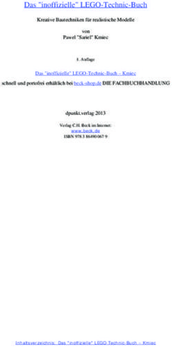 Das "inoffizielle" LEGO-Technic-Buch
