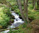 WATER & CLIMATE CHANGE - DIE WASSERZEITSCHRIFT DER STEIERMARK - Wasserwirtschaft Steiermark