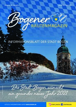 Bogener - Die Stadt Bogen w&uuml;nscht ein gesundes neues Jahr 2021
