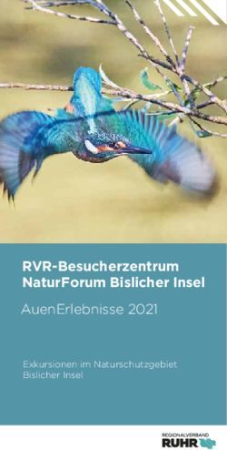 RVR-BESUCHERZENTRUM NATURFORUM BISLICHER INSEL - AUENERLEBNISSE 2021 EXKURSIONEN IM NATURSCHUTZGEBIET BISLICHER INSEL