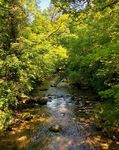 Trockenheit - Notfallmassnahmen am und im Gewässer - Merkblatt der Fischereifachstellen der Kantone Aargau, St.Gallen, Thurgau und Zürich ...