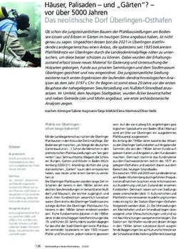 H&auml;user, Palisaden - und "G&auml;rten"? - vor &uuml;ber 5000 Jahren Das neolithische Dorf &Uuml;berlingen-Osthafen