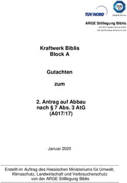 KRAFTWERK BIBLIS BLOCK A GUTACHTEN ZUM 2. ANTRAG AUF ABBAU NACH 7 ABS. 3 ATG - (A017/17)