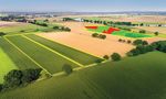 Starke Leistung. Im Mais - Bayer Agrar Deutschland