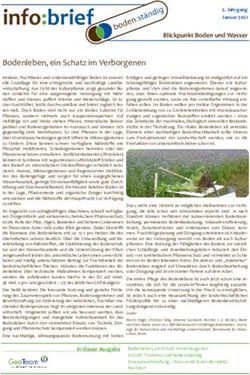 Info:brief - GeoTeam Umwelt