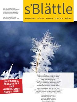 S Bl&auml;ttle - Stadt Hohenems