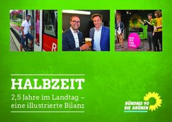 HALBZEIT 2,5 Jahre im Landtag - eine illustrierte Bilanz - Max Deisenhofer