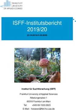 ISFF-Institutsbericht 2019/20 - Institut für Suchtforschung (ISFF) Frankfurt University of Applied Sciences - an der Frankfurt University of ...